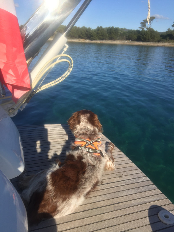 2FB199F3-5967-4FED-8BFF-EF573F17F662