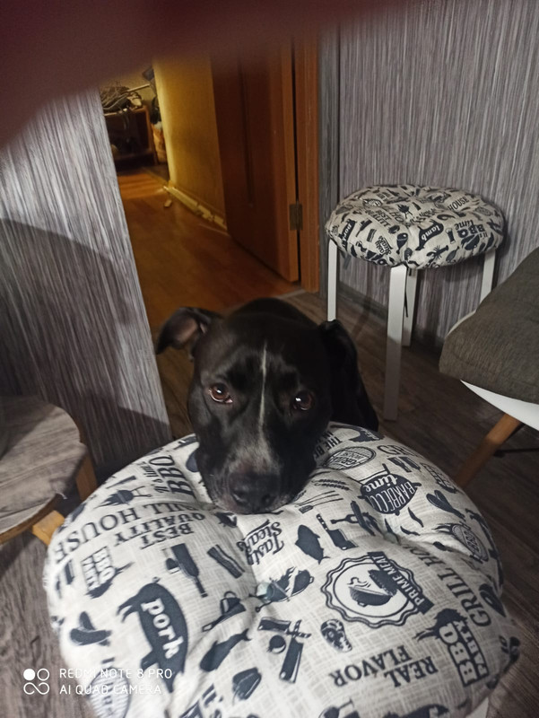 87B5F2F4-9F5C-4AFC-AFF8-4AA2528C35DA