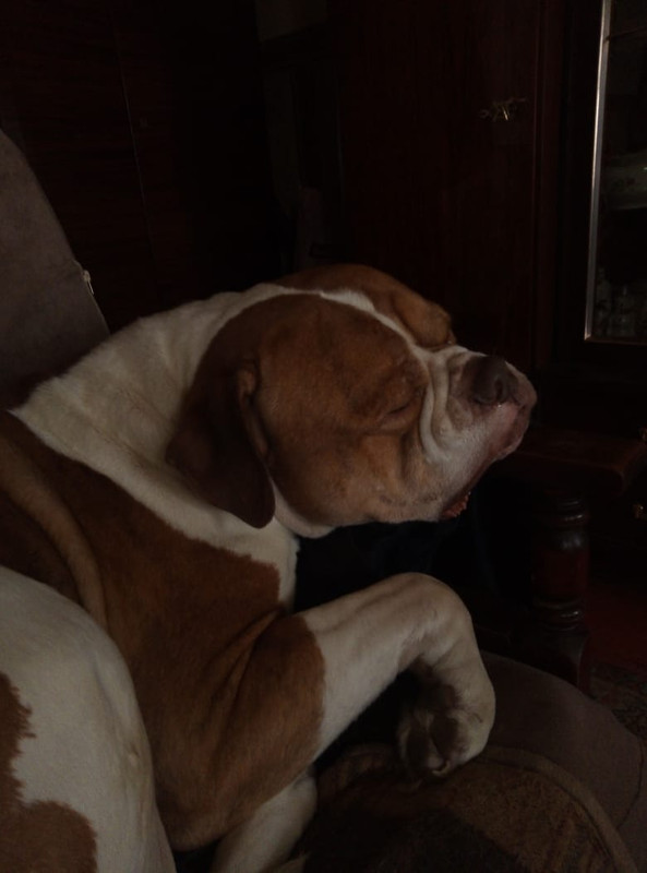 29425AAB-4D6B-4FF5-8F8B-6CBF4D6E148D