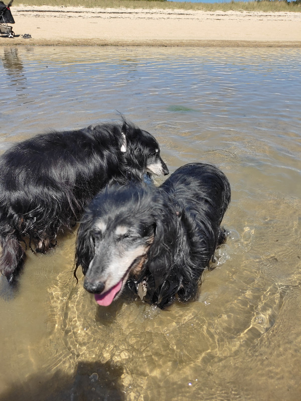 [Image: IMG-20220708-124346.jpg]