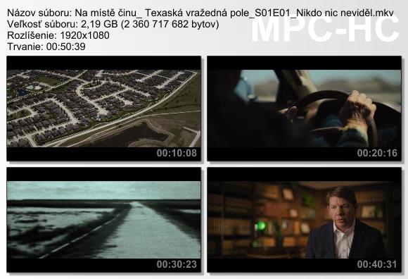 Na místě činu: Texaská vražedná pole / Crime Scene:..(2022)