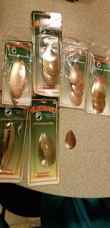 20190208-210423.jpg