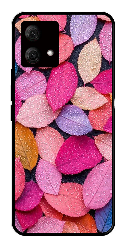 motog84-jpg2181jpg2181