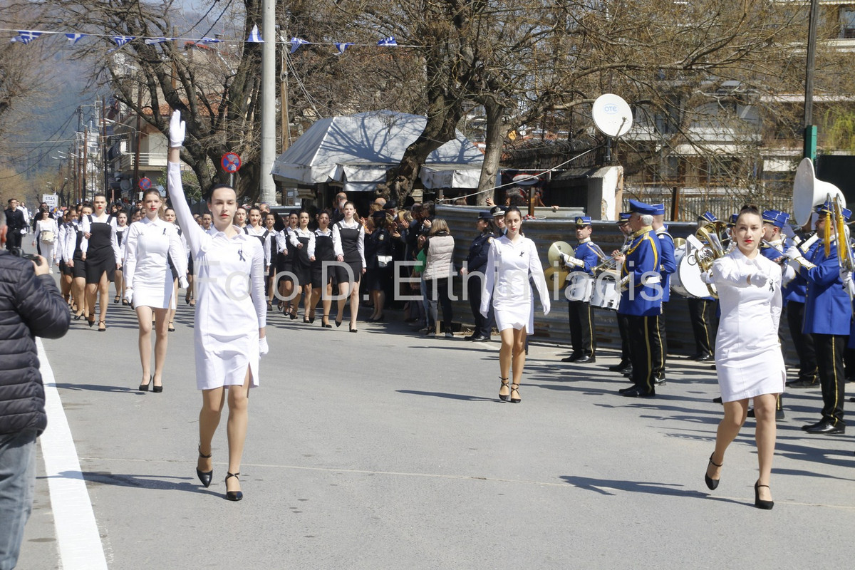 _7D29741 (Αντιγραφή)