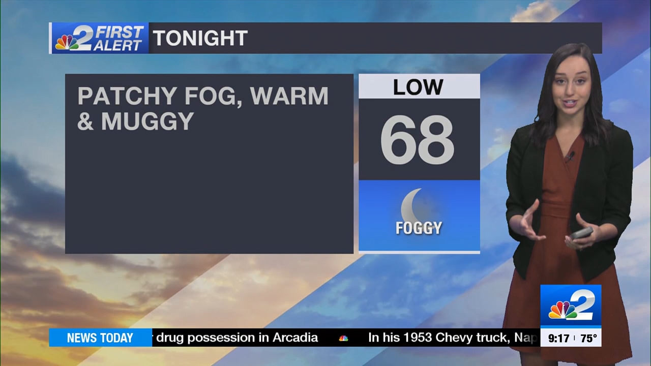 03.26 - 14.00.00 - NBC 2 News Today - Sunday  ᴺᵉʷ..ts_snapshot_00.23.27.517