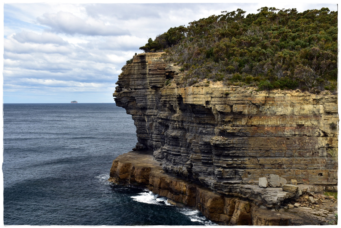 Australia (II): Recorriendo Tasmania - Blogs de Australia - Tasman National Park (14)