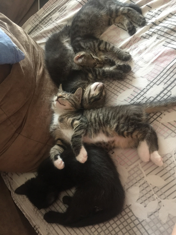 9F55B514-103A-462E-8D80-2711A0D4C393