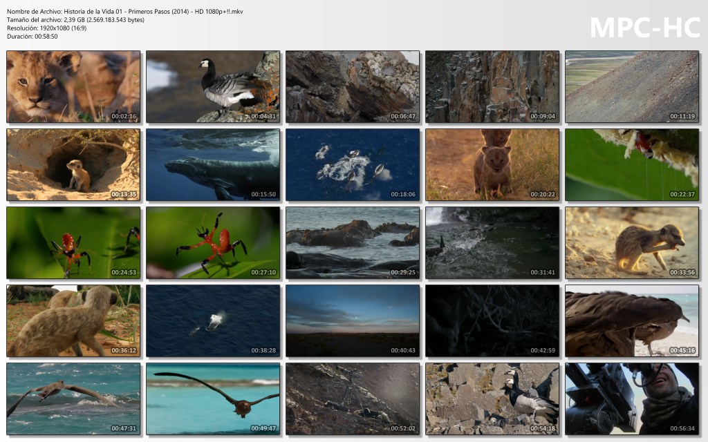 Historia-de-la-Vida-01-Primeros-Pasos-(2014)-HD-1080p-mkv-thumbs.jpg