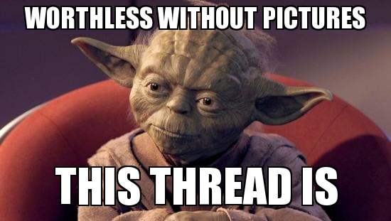 Yoda-Worthless-Without-Pictures.png