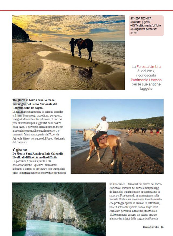 Il Mio Cav (Lug-Ago 2023) 6