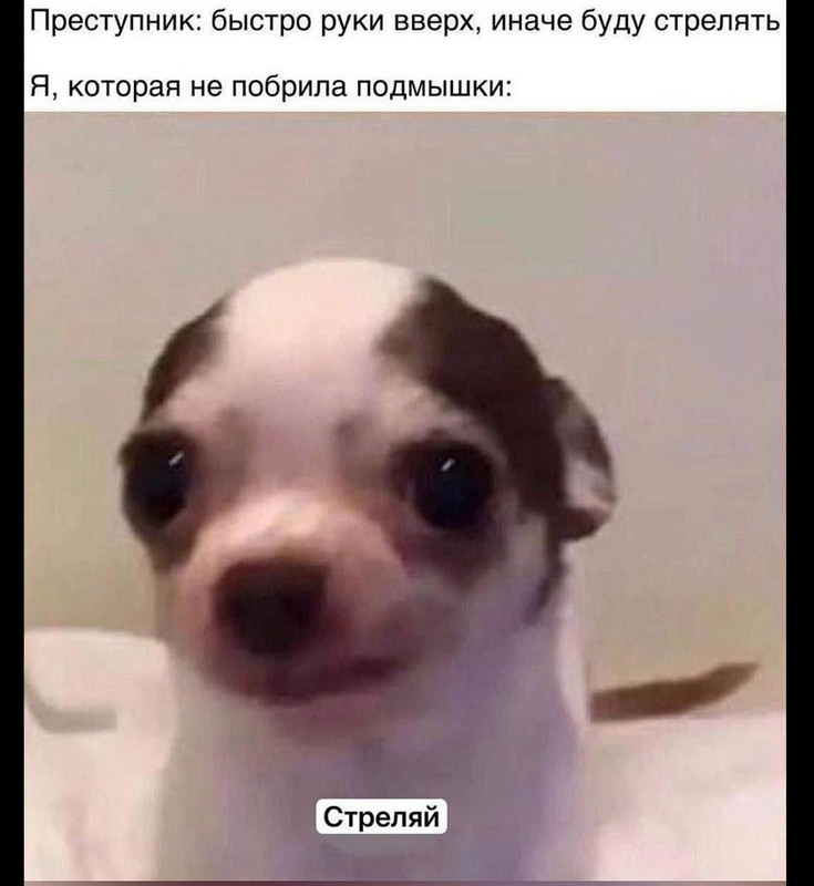 [Изображение: 3e001686c016e4a01f74b51465c7bad0.jpg]