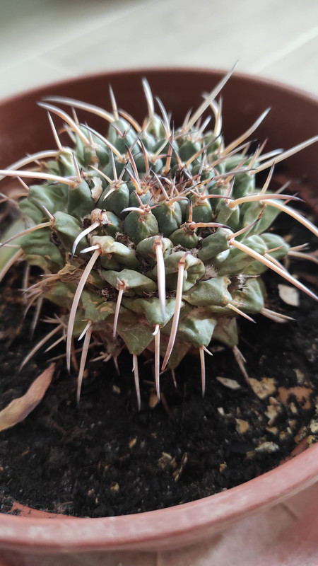 WhatsApp Image 2022-05-12 at 1.40.11 PM (3)