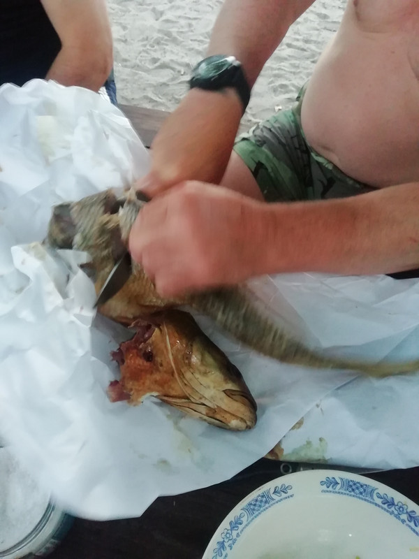 Изображение 1405