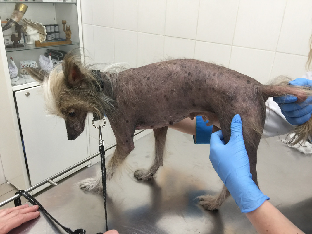 AFD36C4C-2958-4EAA-B6DB-61A49995E775