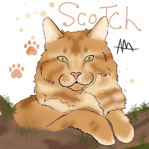 scotch-oc.jpg