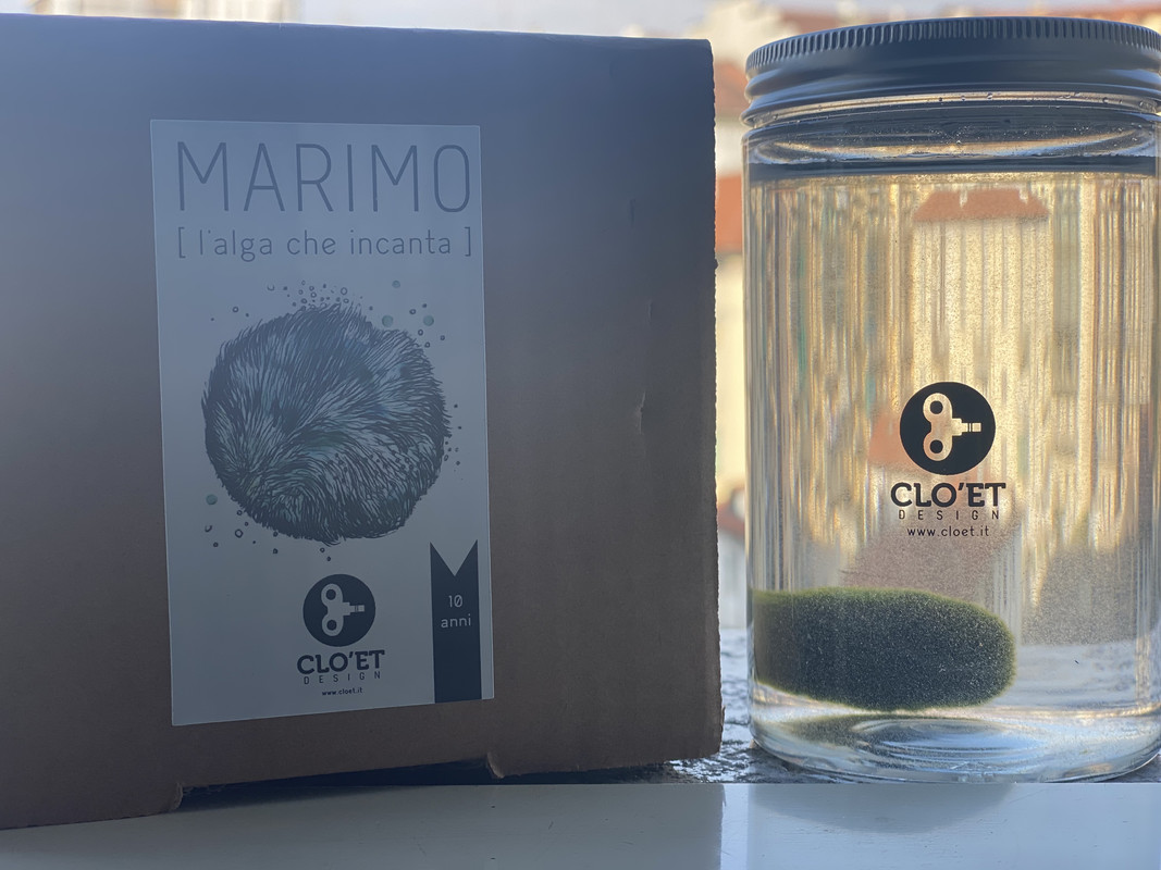 AAB678AD-C127-4BD3-AA45-D711215DF230