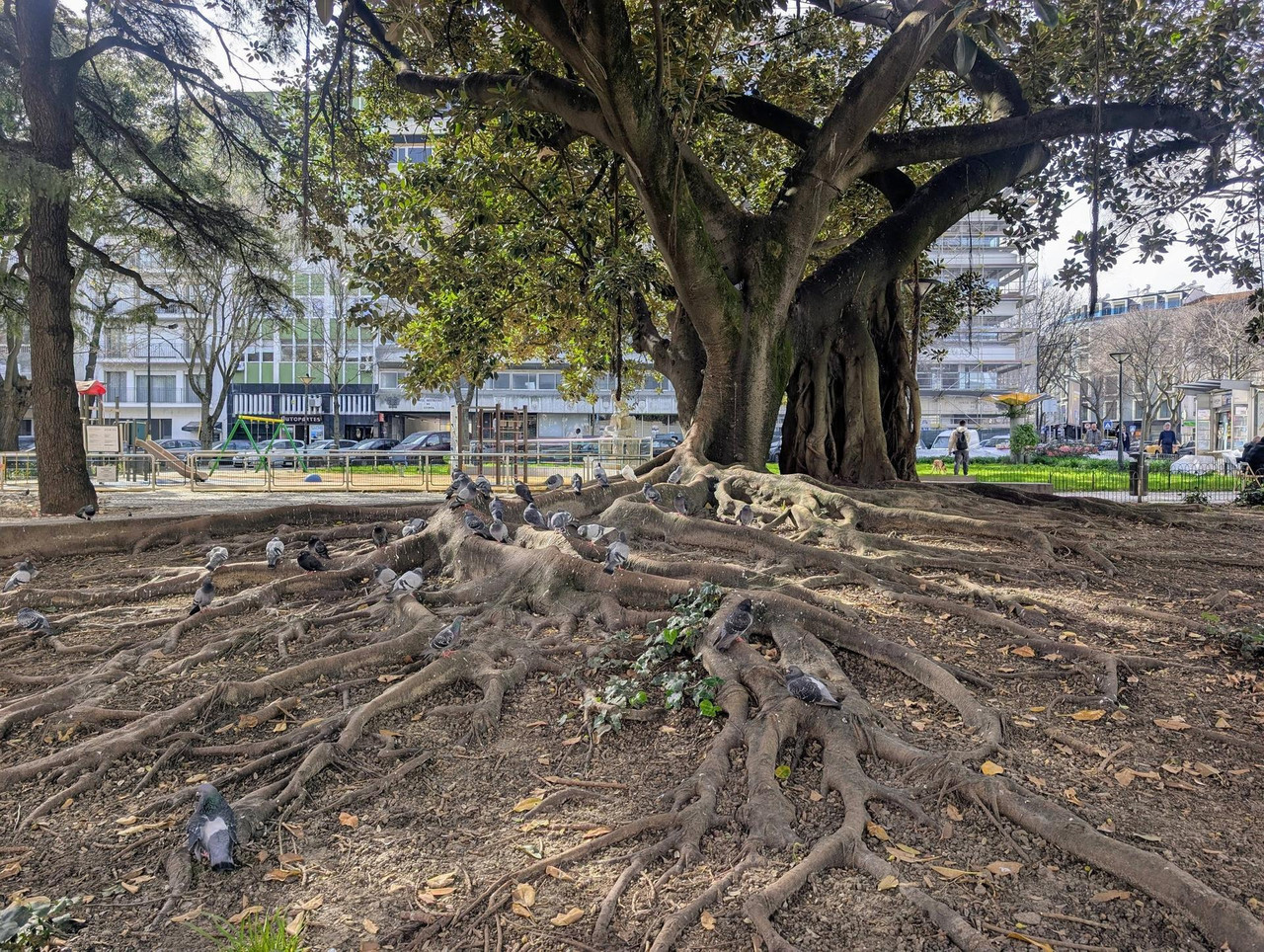 641502722 25550432014656428 8028402793872089678 n