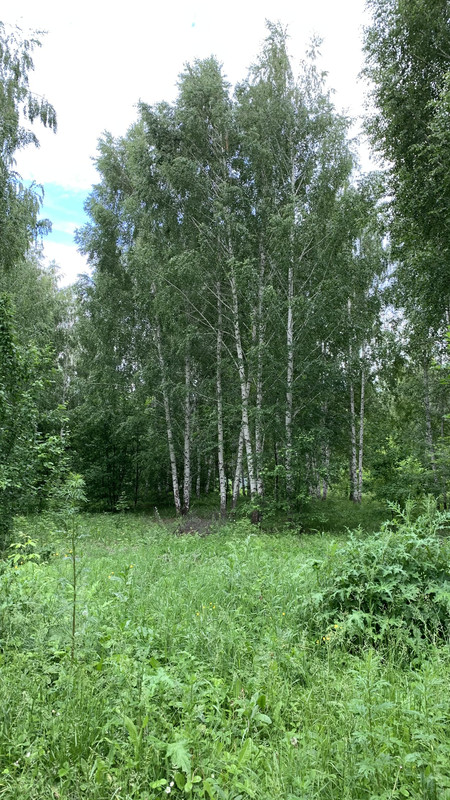 C14A74FD-3C69-4821-A957-66AD6B731DB6