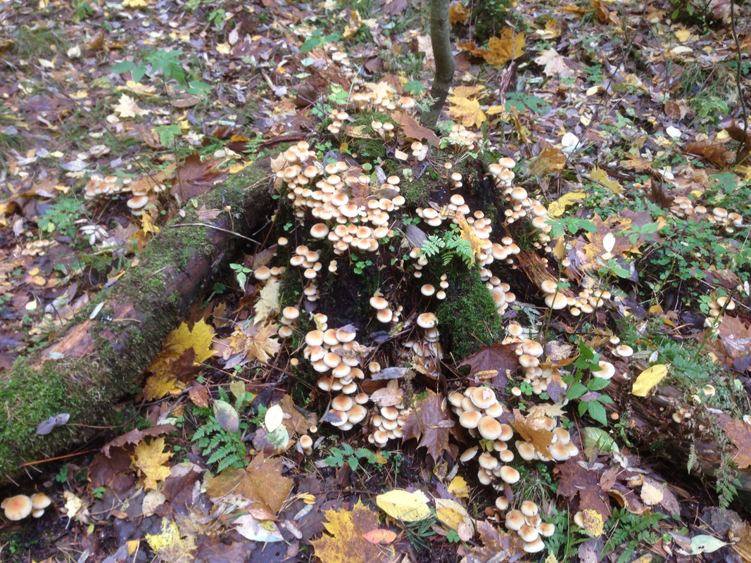 C26DD473-F522-4BB4-8F41-0D8B80B8761E