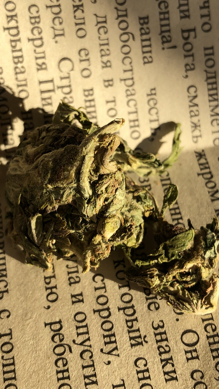 C86C1268-1D6F-4344-9A16-4D51905B44FD