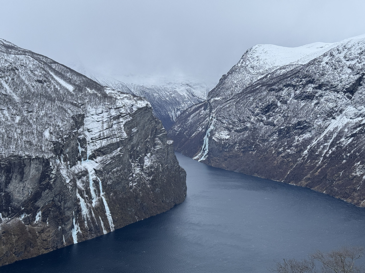 [Immagine: IMG-9501.jpg]