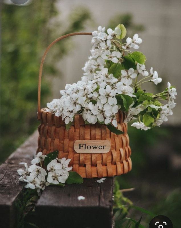 Screenshot_20230615_224425_Pinterest