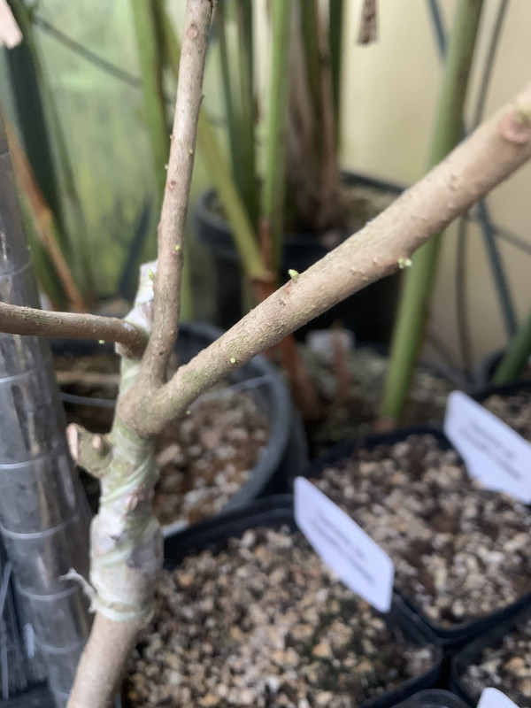 8F5FDFBF-9106-48F0-BFD2-A66568C1F525