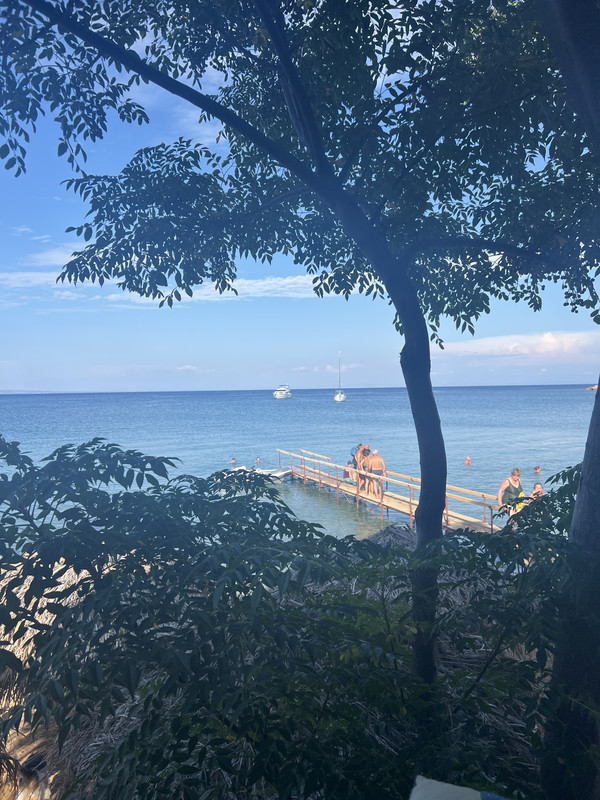 B3E3C721-F021-465E-A672-F59FD50D7F41