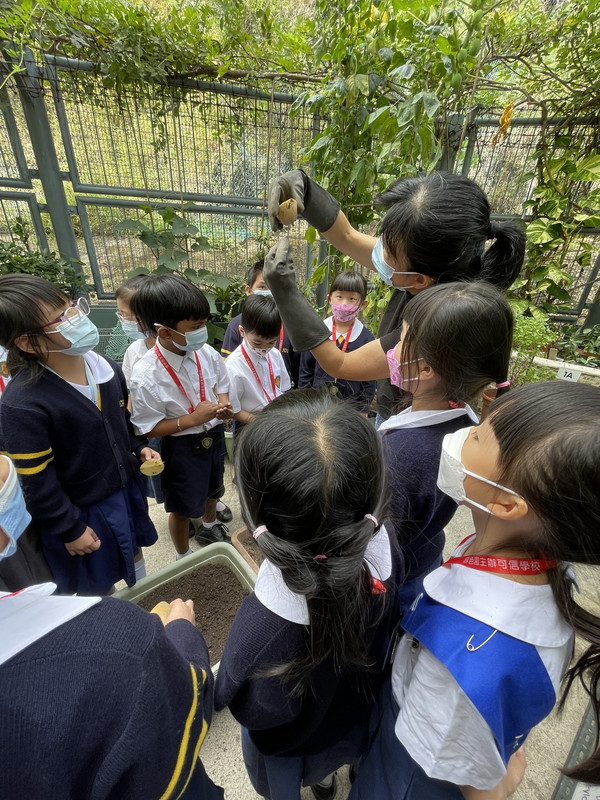 photo-littlefarmer2223-1B-008