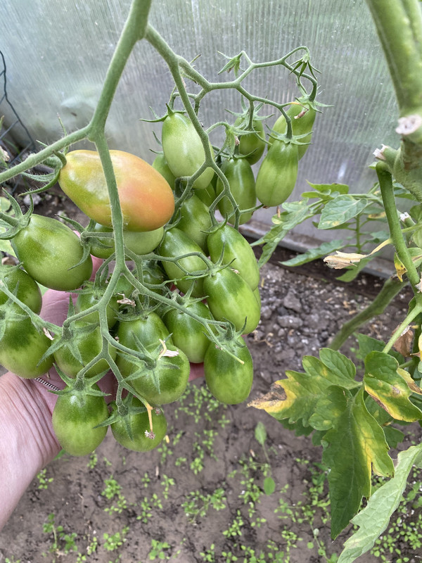 3D73CB26-BCCA-434D-A385-E32590B1042B