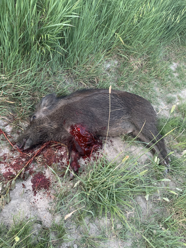 082A5831-83F4-4200-8DD9-2AAC1204EAA4