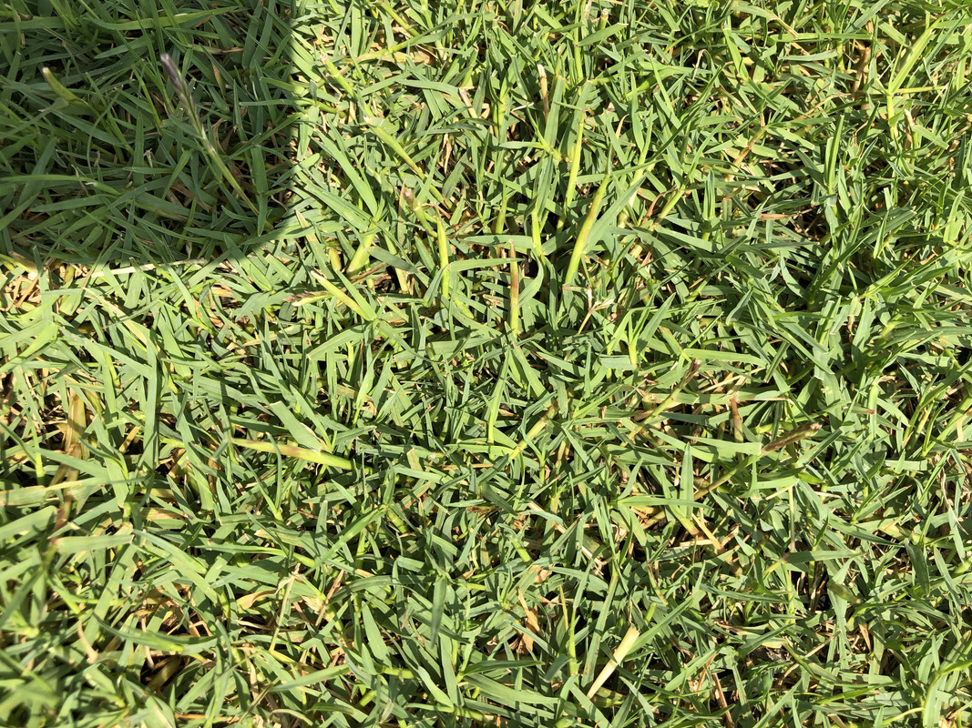 C165DAC5-4129-47D3-82A5-0A1A4DEB9C0E