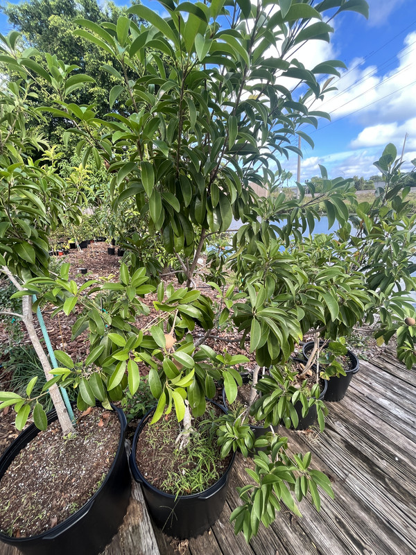 37022DAC-EF6B-4979-A472-2D98B1949036