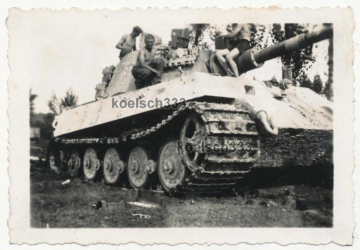 Foto Panzer VI Tiger II Königstiger mit Turmnummer und Zimmerit Beschichtung !