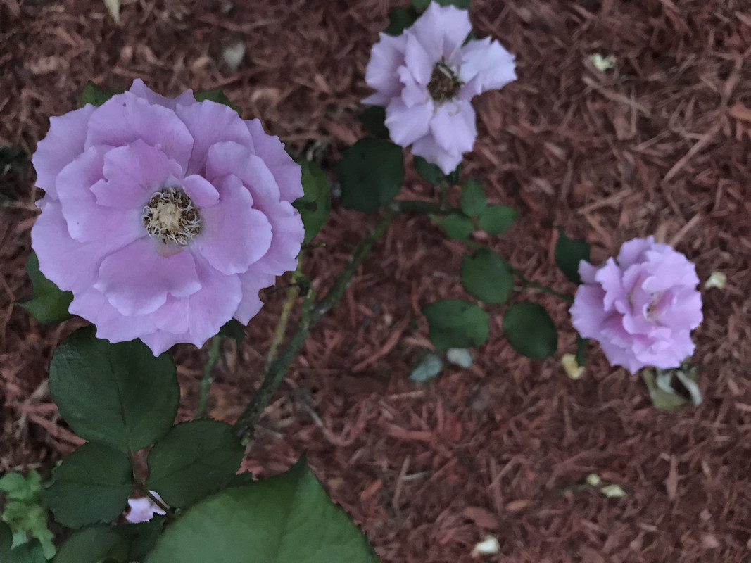 637020B9-BFDE-4673-A113-4E9AF0D7C3EB