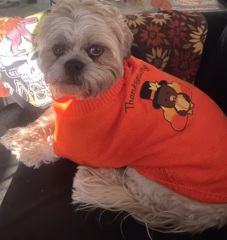 12CA5313-C993-44D0-A6A0-A0C0C53C2532_1_201_a