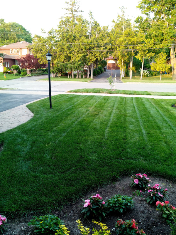 IMG_20190725_195024_8