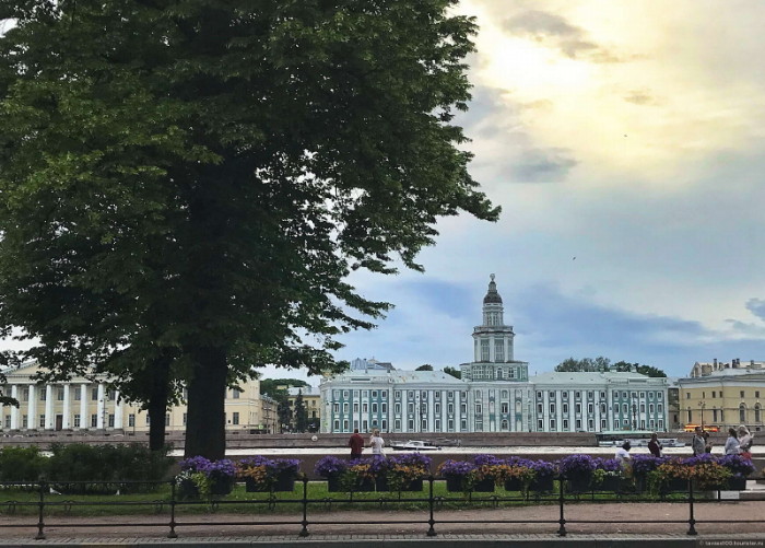 https://i.postimg.cc/0Qcxs7ff/870-624-fixedwidth-jpg.jpg