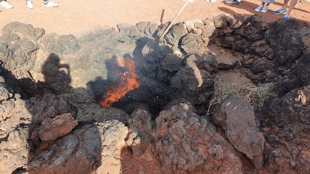 TIMANFAYA, ECHADERO DE CAMELLOS Y PLAYAS DEL PAPAGAYO: la galaxia de las playas - Lanzarote: pisar la Luna sin dejar La Tierra (5)