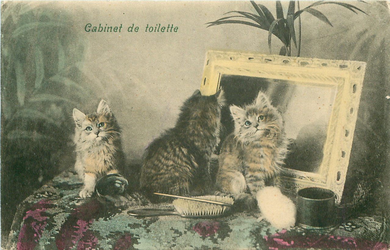 11-2011-06-14-10-03-52