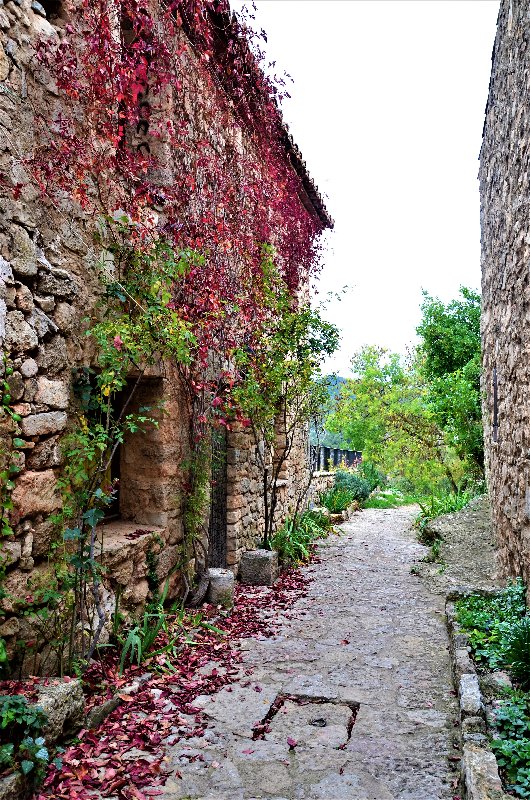 SIURANA-4-11-2016 - Tarragona y sus pueblos-2016 (22)