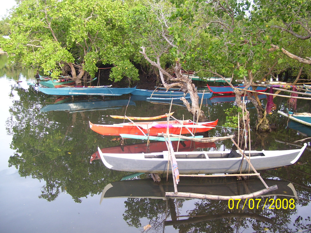 Mangrove Boats