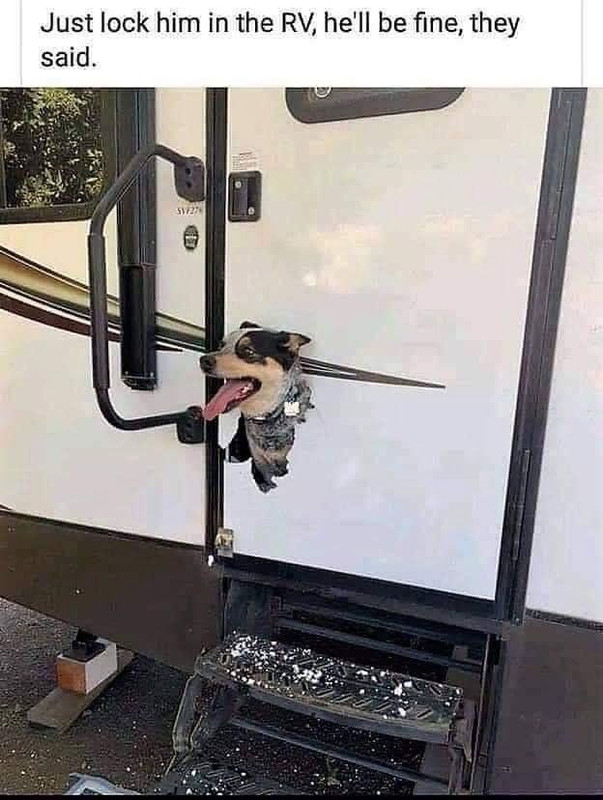 3312A5FC-C091-45C9-8F3D-9F6241BA80DC