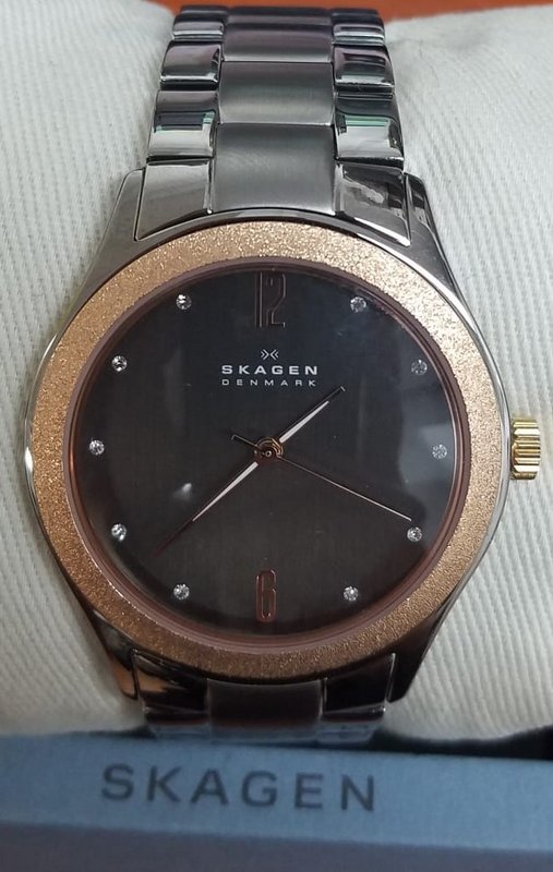 Skagen Watch, Women