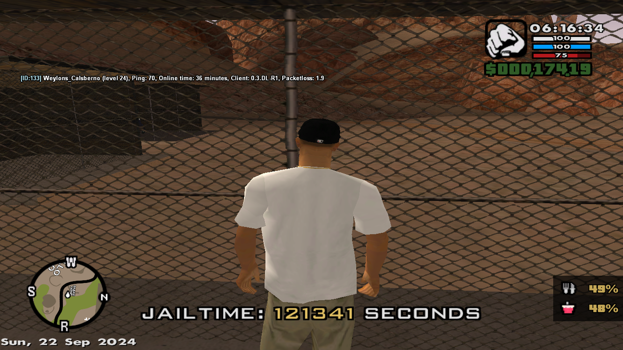 samp-22-09-2024-06-16-36.png
