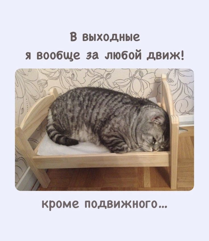 bc66850b3453e91ff821c3ed15d38532.jpg