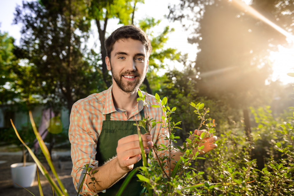 gardener Cranbourne