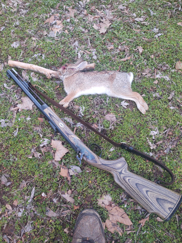 A8424373-9F2F-4462-8DE9-30F36F8787D0