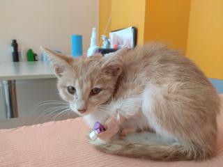 4E523A2B-9DCE-49A3-A240-0944547FF408