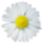 Klik hier om een link te hebben waarmee u dit artikel later terug kunt lezen.